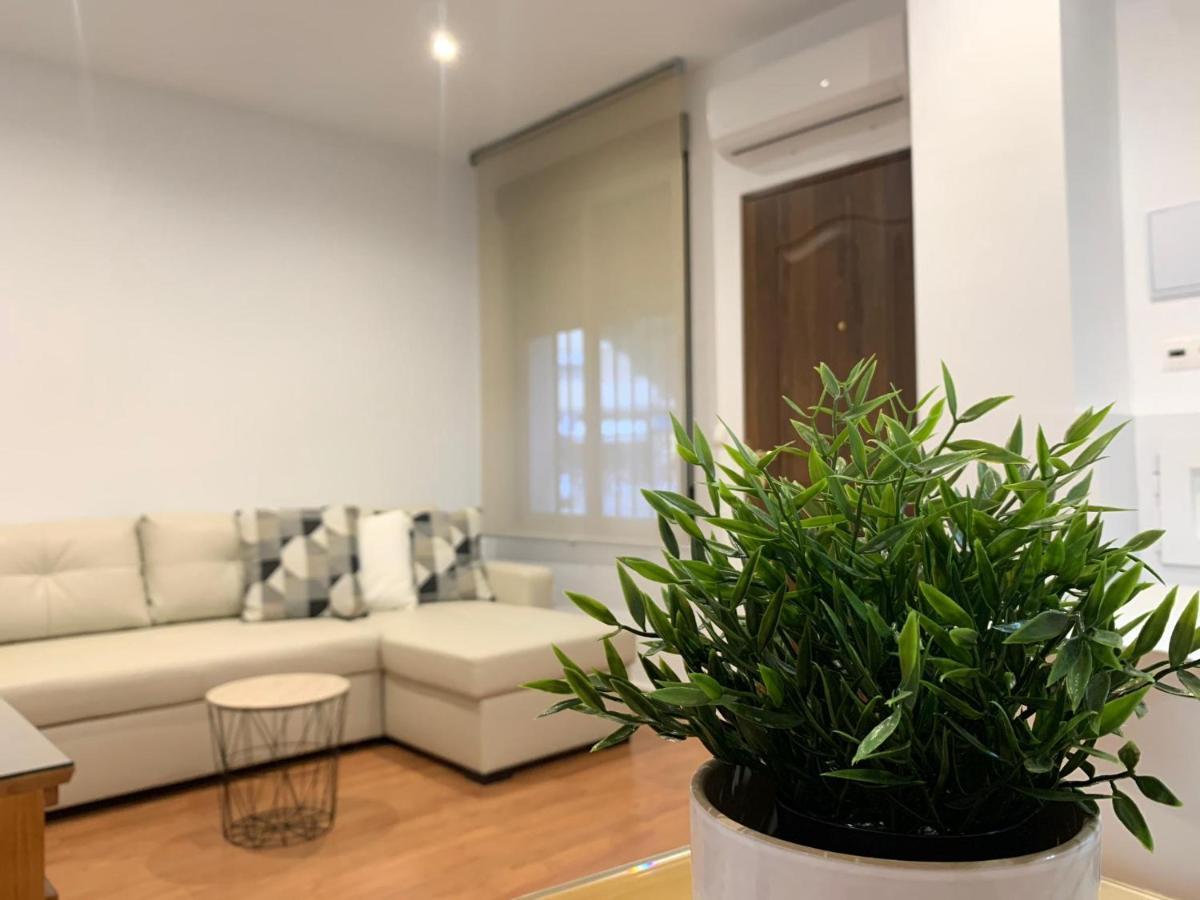 Apartamento La Mezquita-Catedral 코르도바 외부 사진